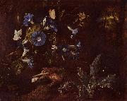 SCHRIECK, Otto Marseus van Blaue Winde Kroe und Insekten oil painting